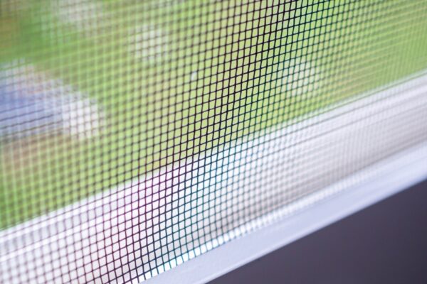 window wiring