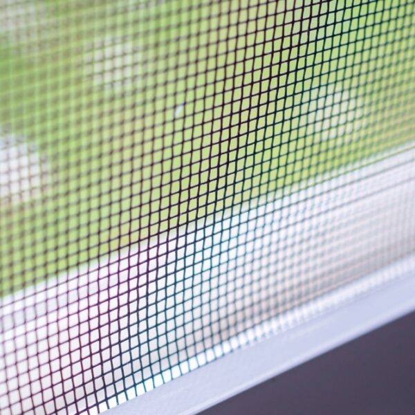 window wiring